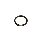 O-Ring furtun aspiratie PAZ20X-PAZ32X Bisonte